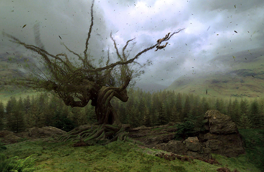 whomping willow